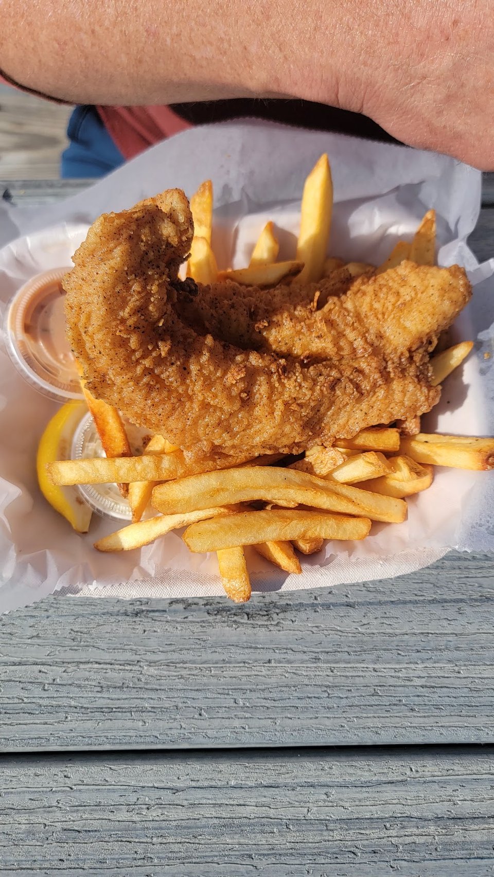 Chicken Fingers and Fries